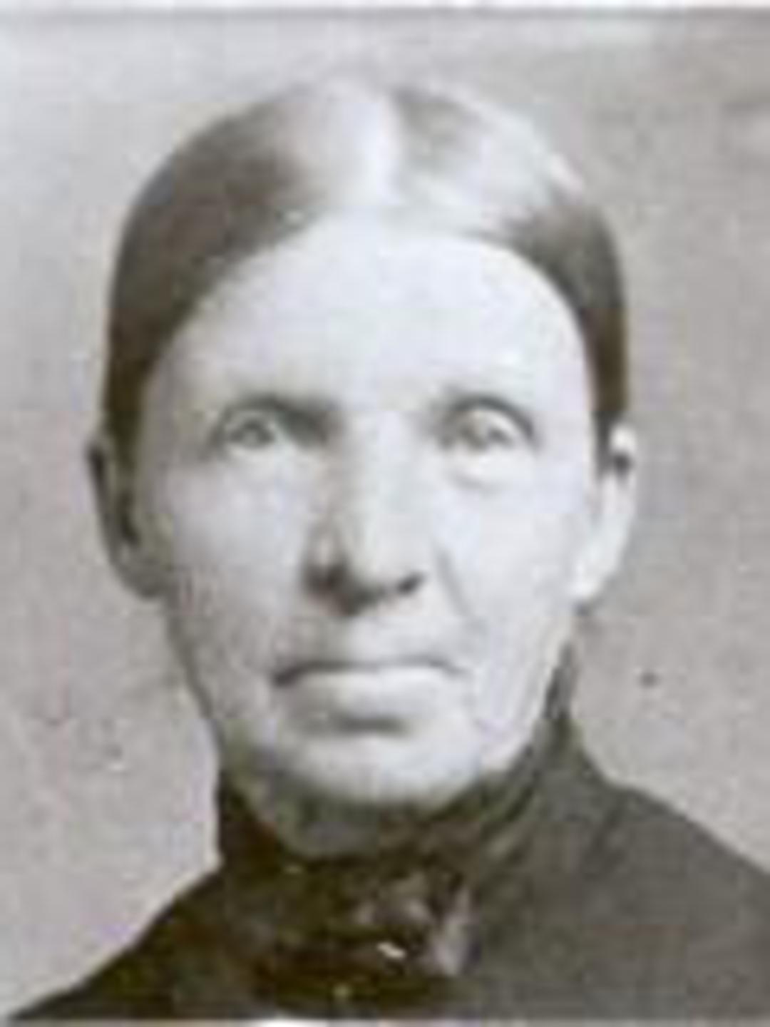 Sarah Lee (1826 - 1908) Profile